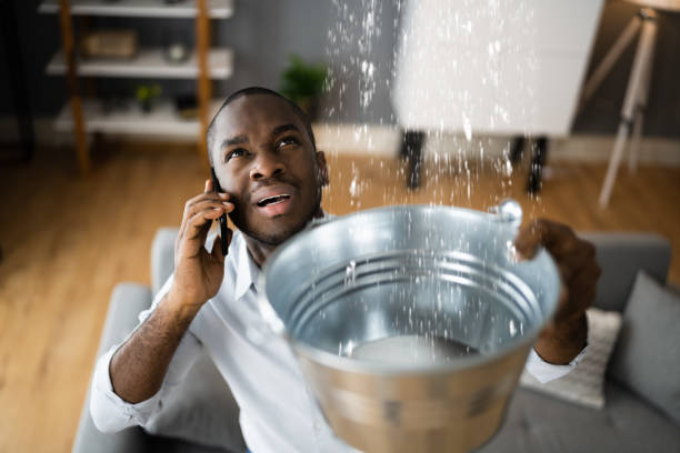 Best Sewage cleanup and water damage restoration  in Lebanon, TN