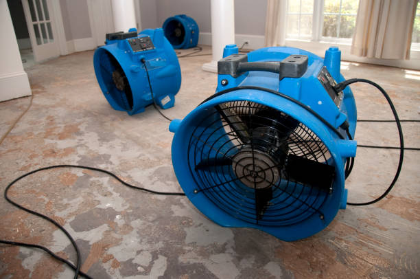 Best Water damage restoration insurance claims  in Lebanon, TN