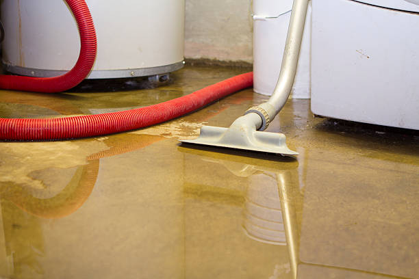 Best 24-hour water damage restoration  in Lebanon, TN