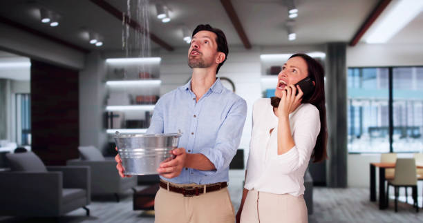 Best Local water damage restoration  in Lebanon, TN